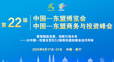 第22屆東博會、峰會
